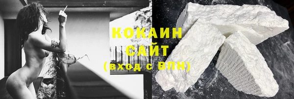 ПСИЛОЦИБИНОВЫЕ ГРИБЫ Богданович