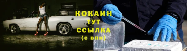 ПСИЛОЦИБИНОВЫЕ ГРИБЫ Богданович