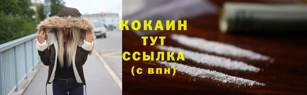 ПСИЛОЦИБИНОВЫЕ ГРИБЫ Богданович