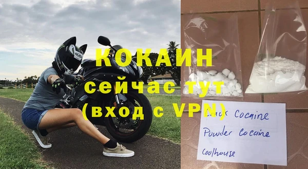 ПСИЛОЦИБИНОВЫЕ ГРИБЫ Богданович