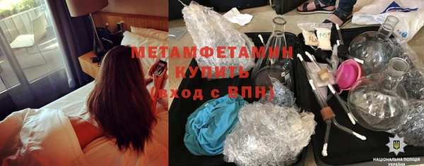 ПСИЛОЦИБИНОВЫЕ ГРИБЫ Богданович