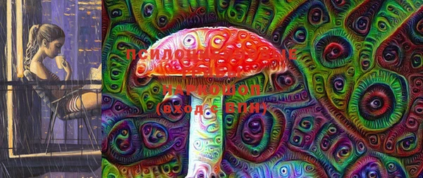 ПСИЛОЦИБИНОВЫЕ ГРИБЫ Богданович