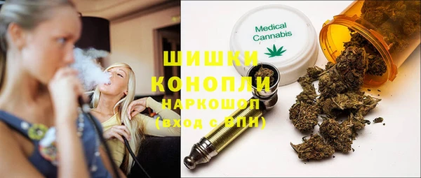 ПСИЛОЦИБИНОВЫЕ ГРИБЫ Богданович