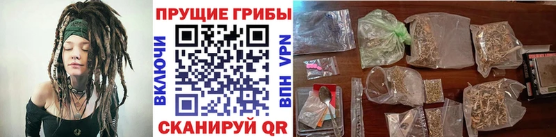 Галлюциногенные грибы ЛСД Верея
